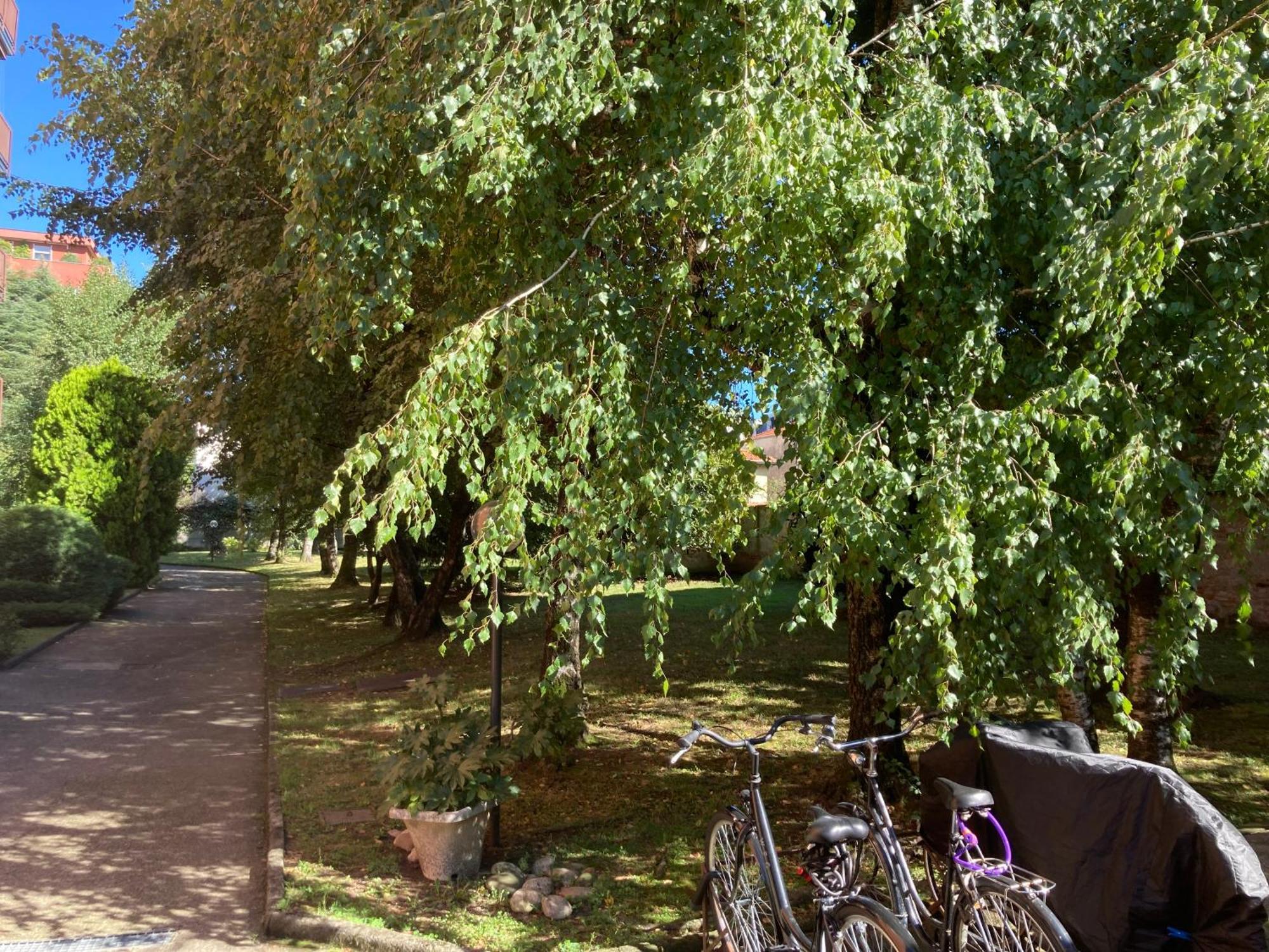 Casa Chiara Tra Saronno E Milano Lejlighed Eksteriør billede